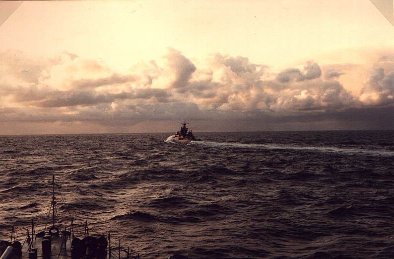 Die alte Elbe